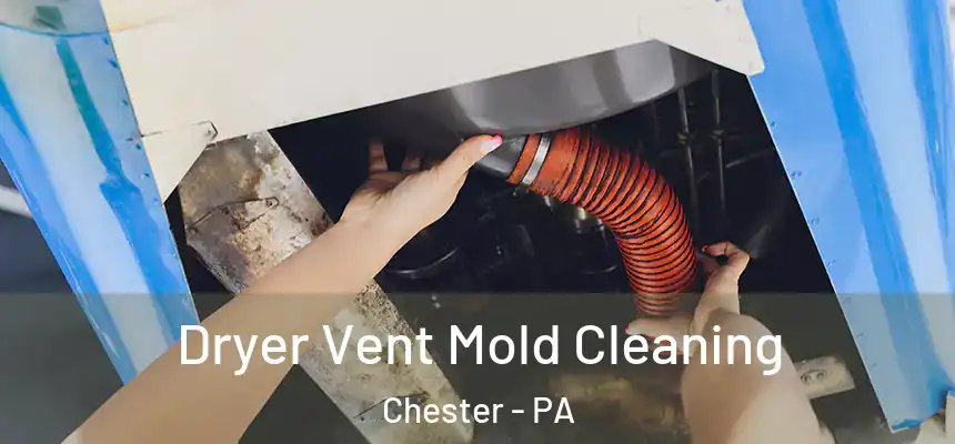  Dryer Vent Mold Cleaning Chester - PA