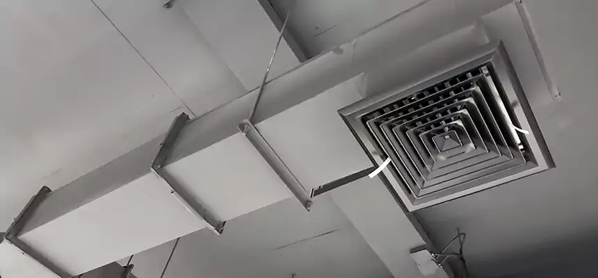 Our Rodent Droppings In Vents Services in Chester, PA