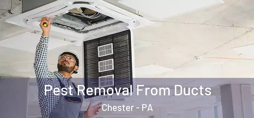  Pest Removal From Ducts Chester - PA