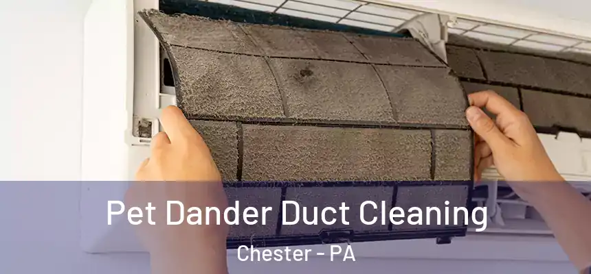 Pet Dander Duct Cleaning Chester - PA