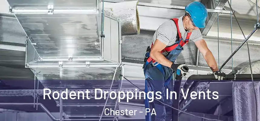 Rodent Droppings In Vents Chester - PA
