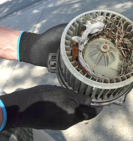 About Air Duct Rat Removal in Chester, PA