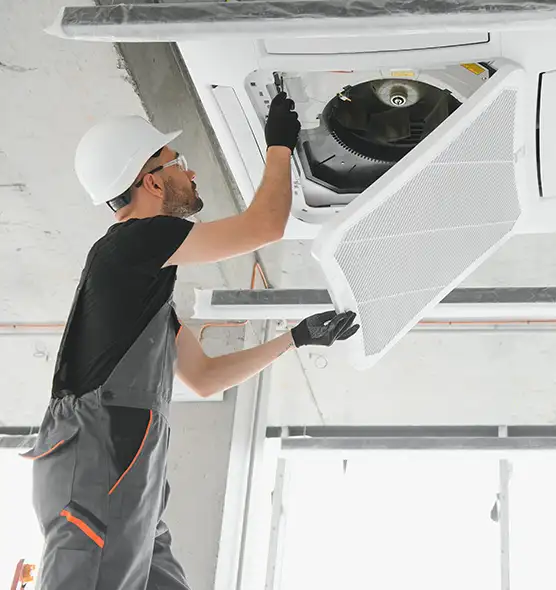 About Air Duct Rodent Removal in Chester, PA