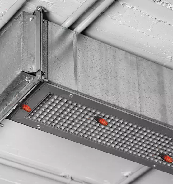 Affordable Insect Removal from Air Ducts in Chester, PA