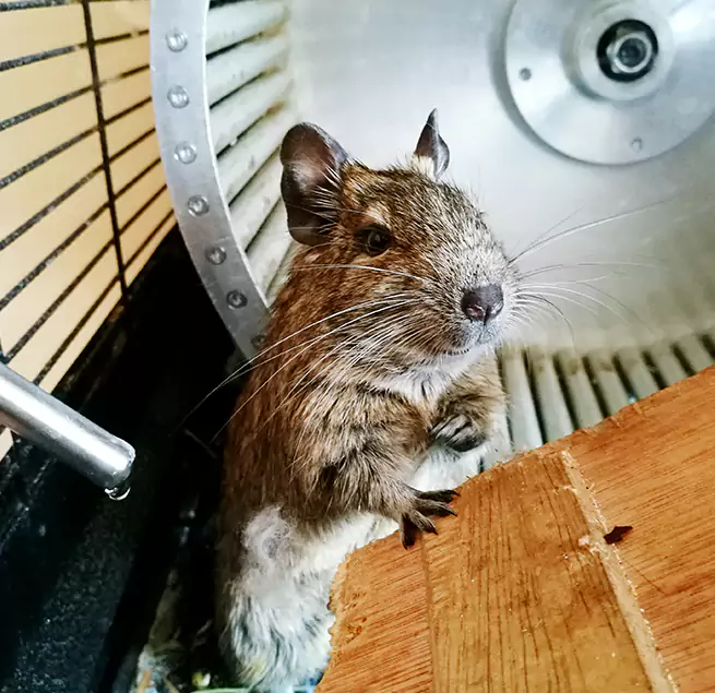 Why Homeowners & Businesses Trust Us Chester, PA?